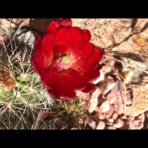 Meet your Posher, Kathy